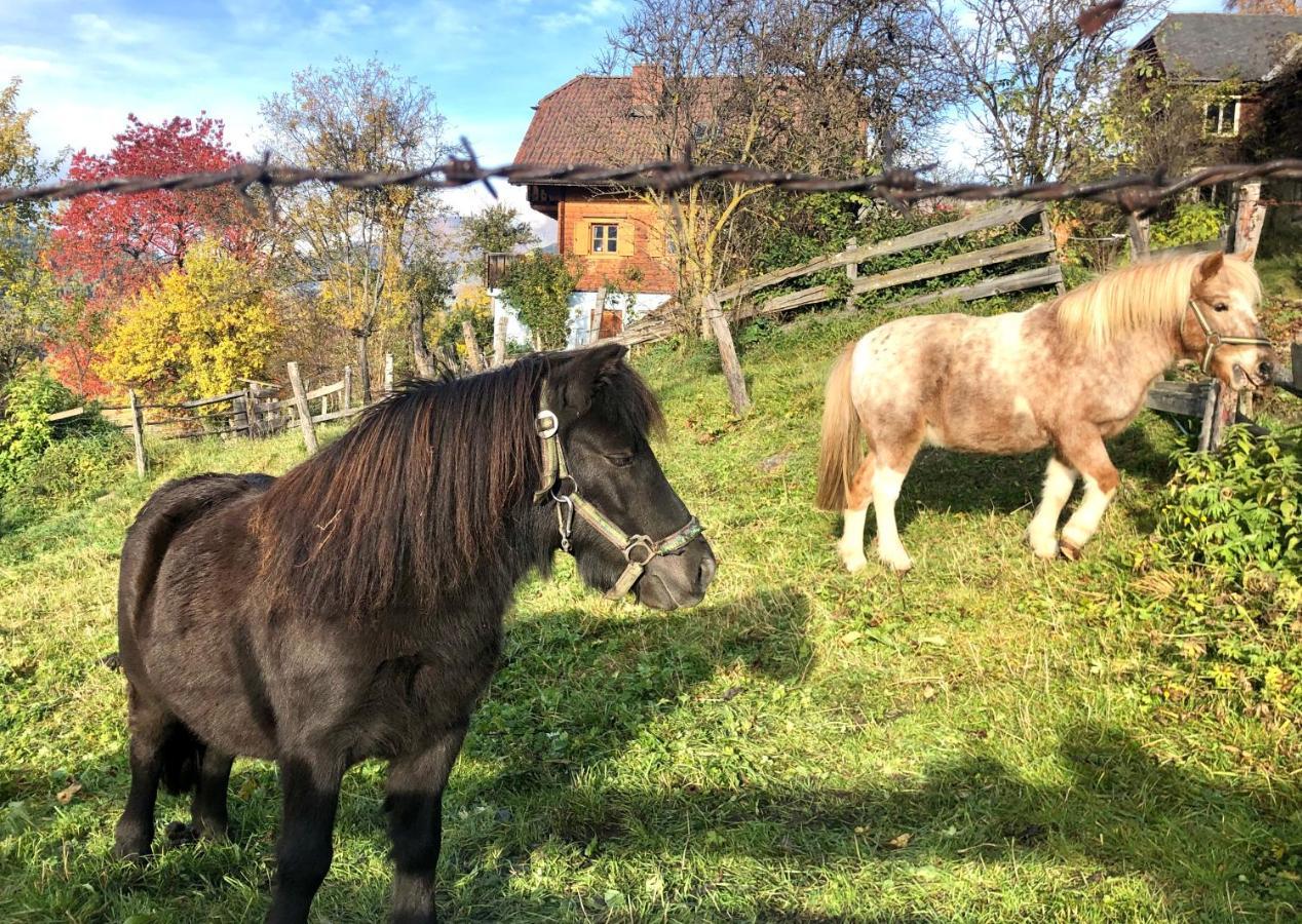 Feielhof Hotell Krakaudorf Exteriör bild